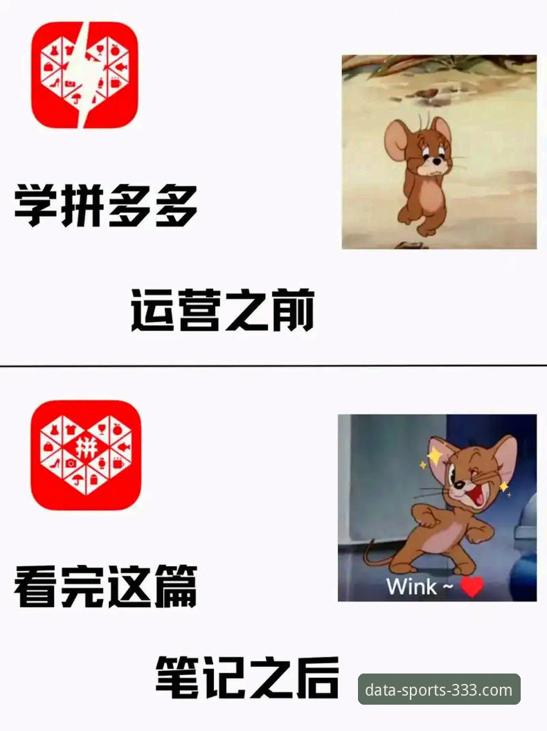 333体育数据平台完整使用指南：从新手到高手的进阶之路